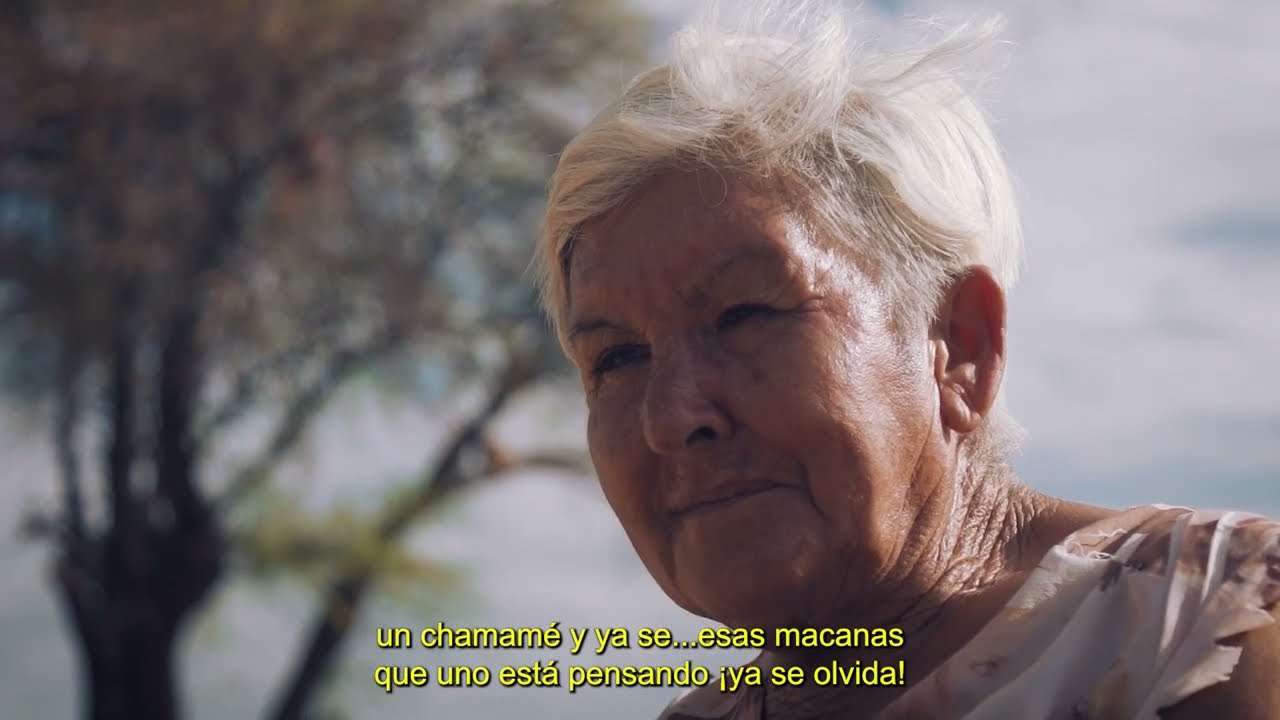 Encuentros chunkanos capítulo 02 / Campo Alegre: músicos populares campesinos
