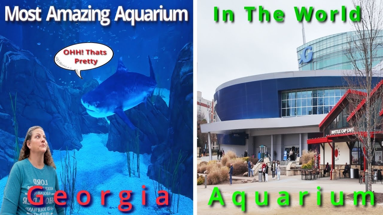 Most Amazing Aquarium In The World!!!The Georgia Aquarium #amazing #love 2026 #aquarium #fish #world