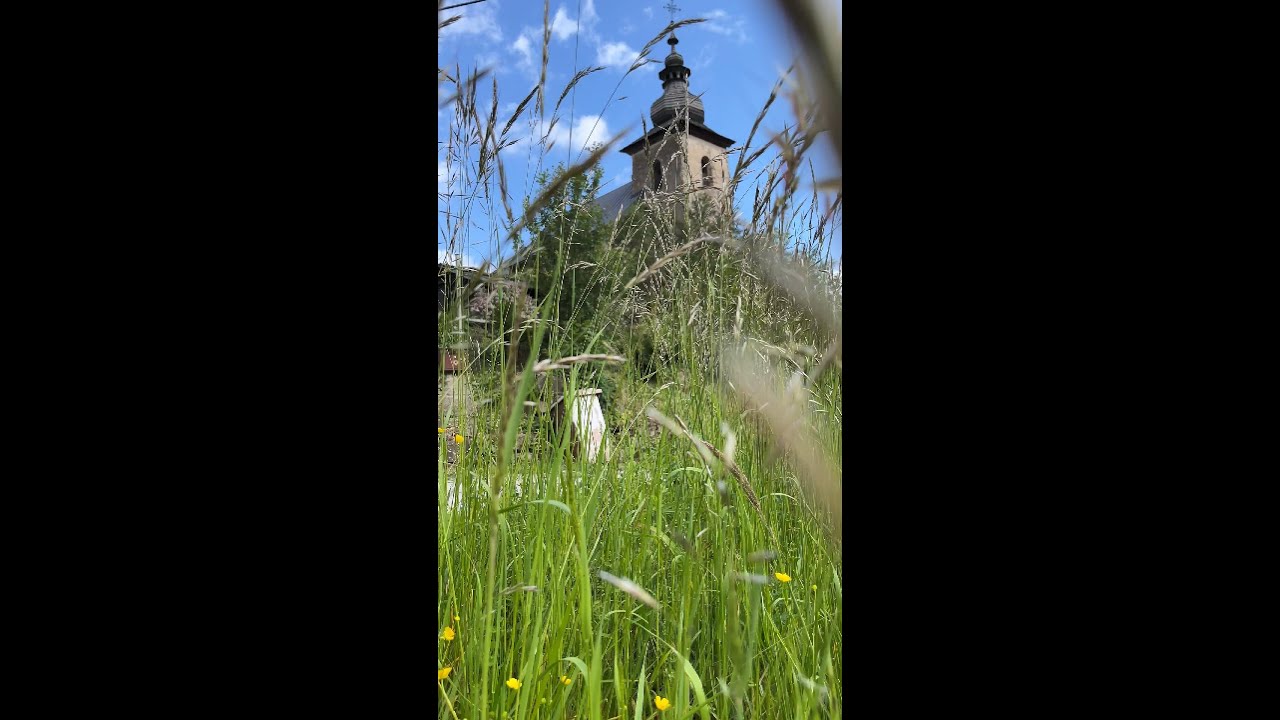 Alter nativa Brdárka