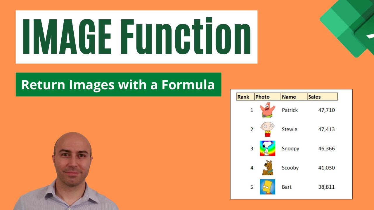 Excel IMAGE Function - Images in Excel Using a Formula