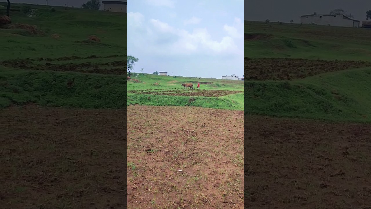 Countryside view. #crpf #patrolling #ambikapur #chhatisgarh