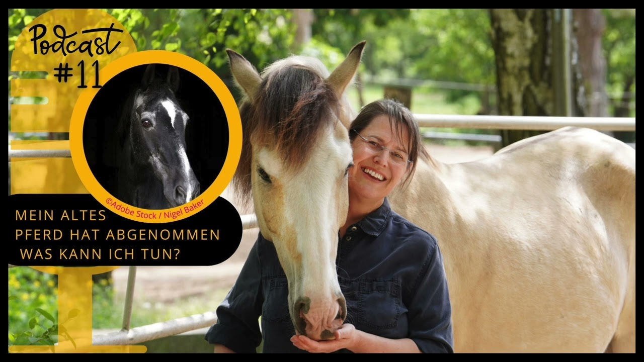 Sanoanimal Podcast # 11   Mein altes  Pferd hat abgenommen - Was kann ich tun?