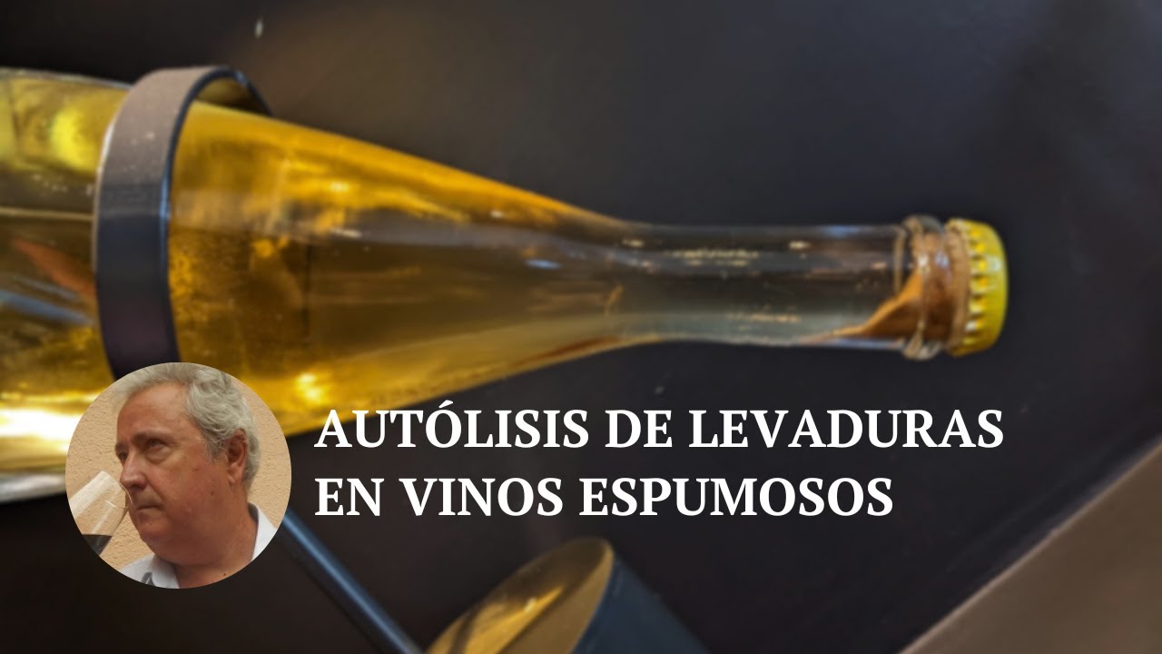 Autólisis de levaduras en vinos espumosos