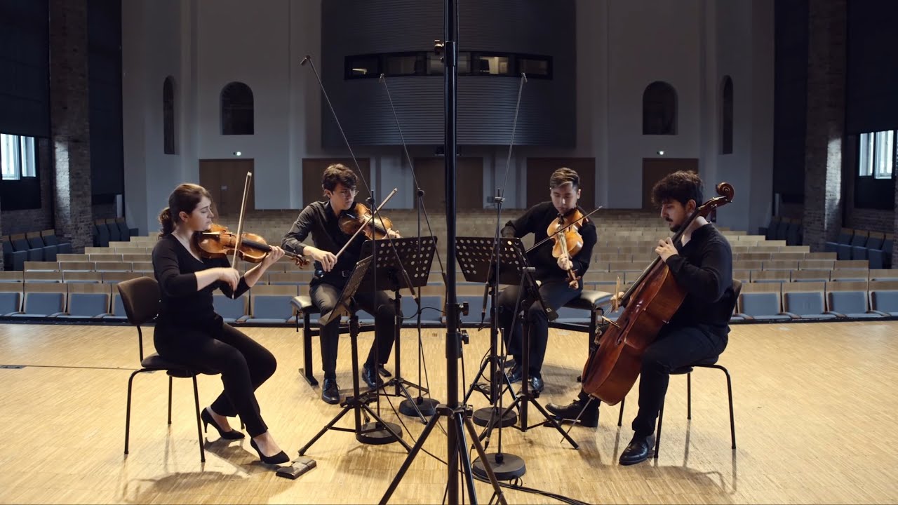 J. Haydn - String Quartet D minor Op. 76, No. 2 