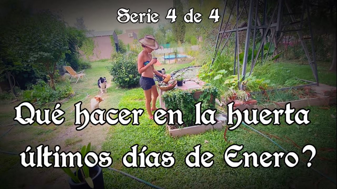 Qué hacer ultimos dias de enero en la huerta? Serie 4 de 4