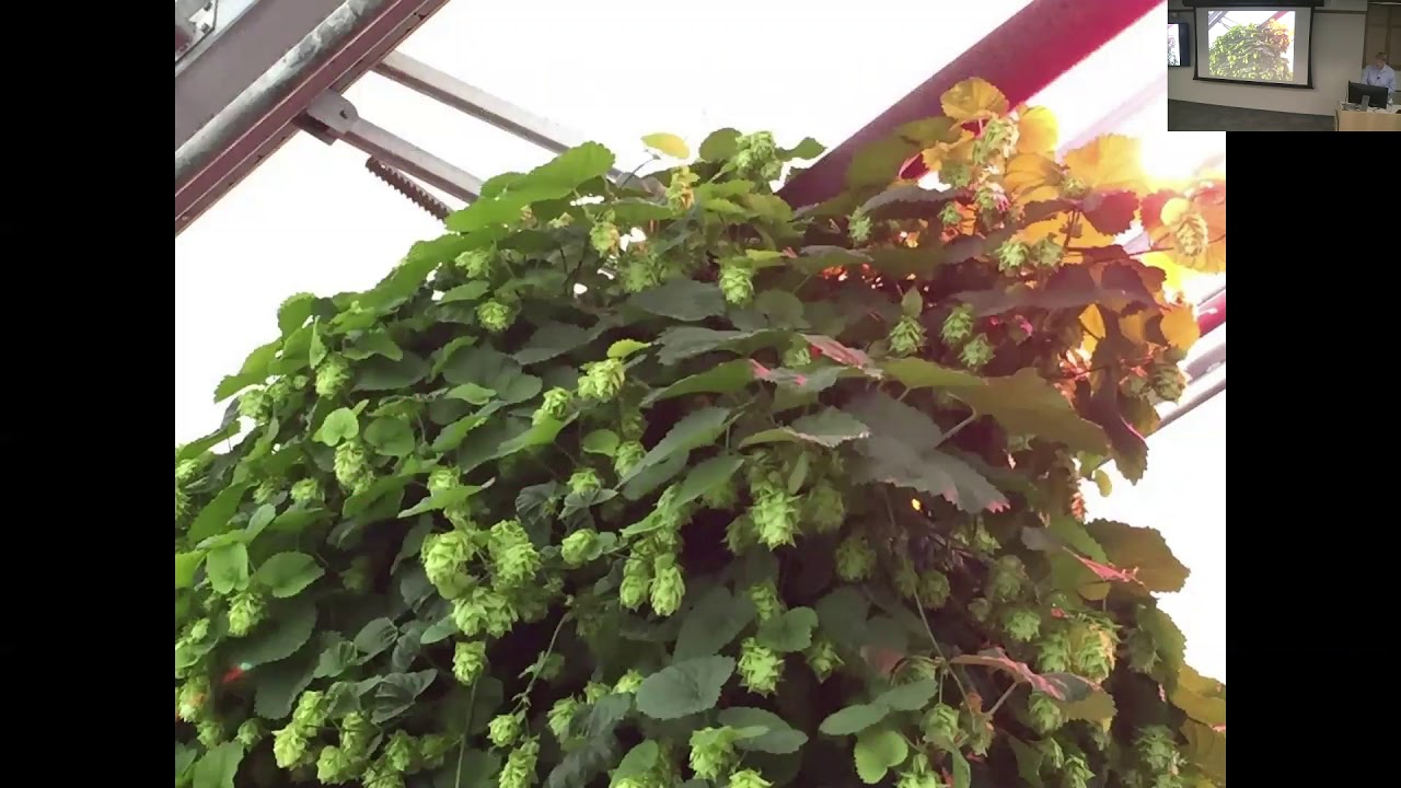 Neil Mattson: The Greenhouse Lighting and Systems Engineering (GLASE) consortium