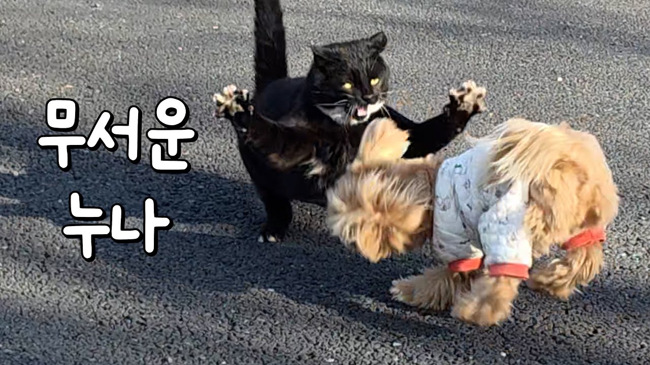 뭐라고 말 좀 해봐