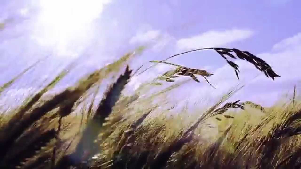 Far From Grace  -  Andrejack