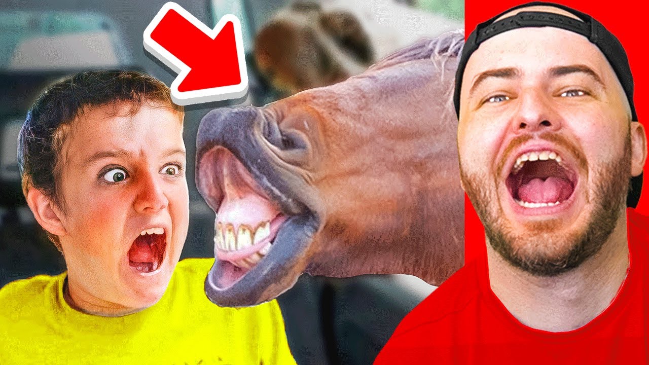 DO NOT LAUGH at the Funniest Animals (Challenge)