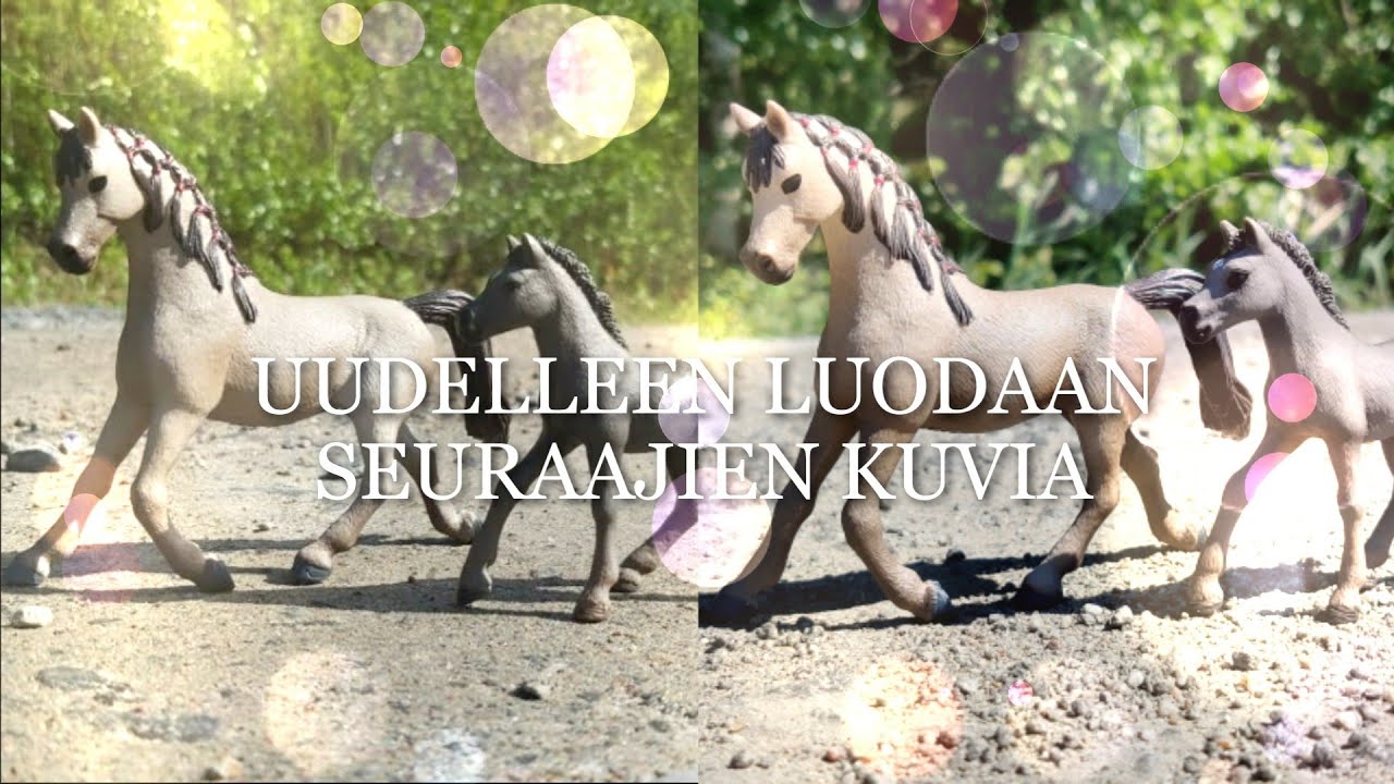 UUDELLEEN LUODAAN SEURAAJIEN KUVIA
