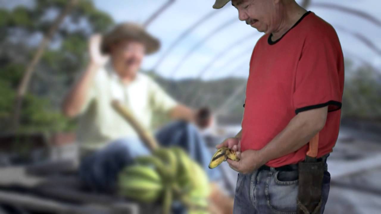El Campesino Quebrado - Ramiro Calderon