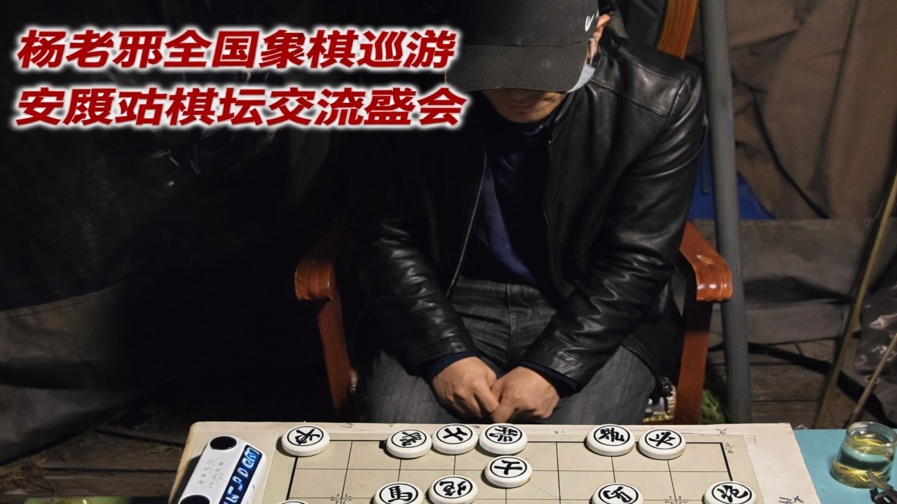 杨老邪全国象棋巡游安康站棋坛交流盛会