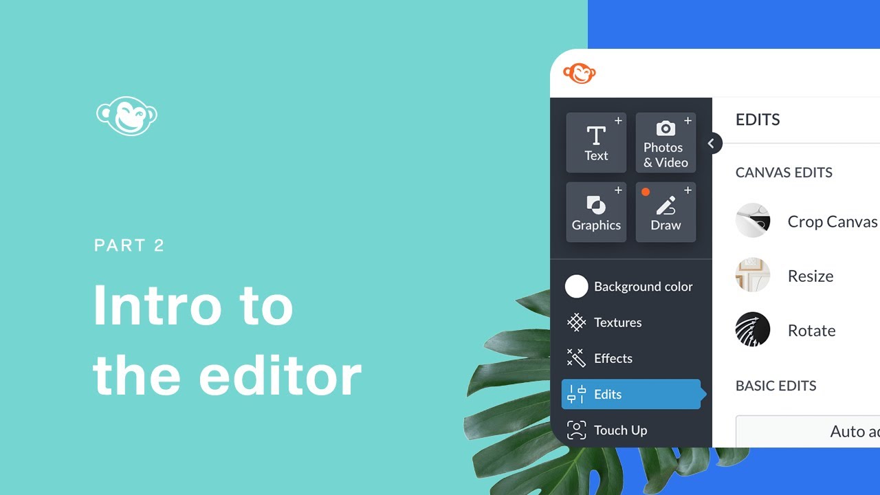 101 | Intro to the editor