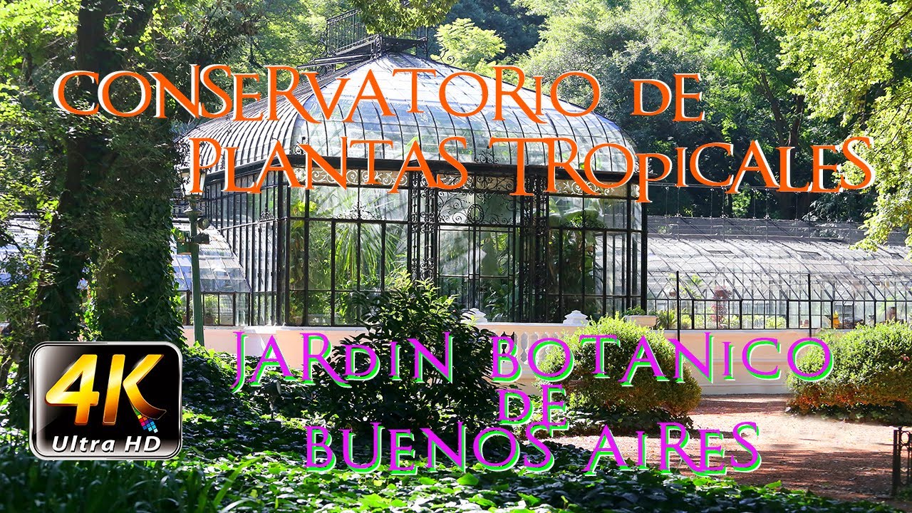 Conservatorio de PLANTAS TROPICALES del Jardín BOTÁNICO de Buenos Aires 4K