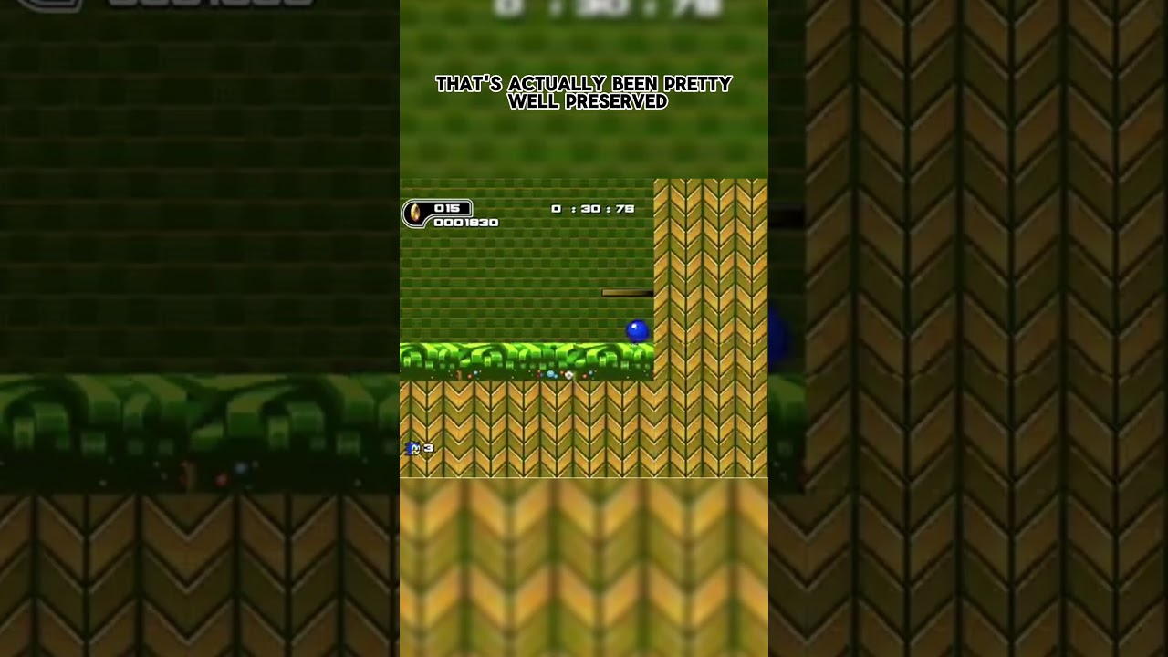 This is the most famous Sonic the Hedgehog Flash game! 