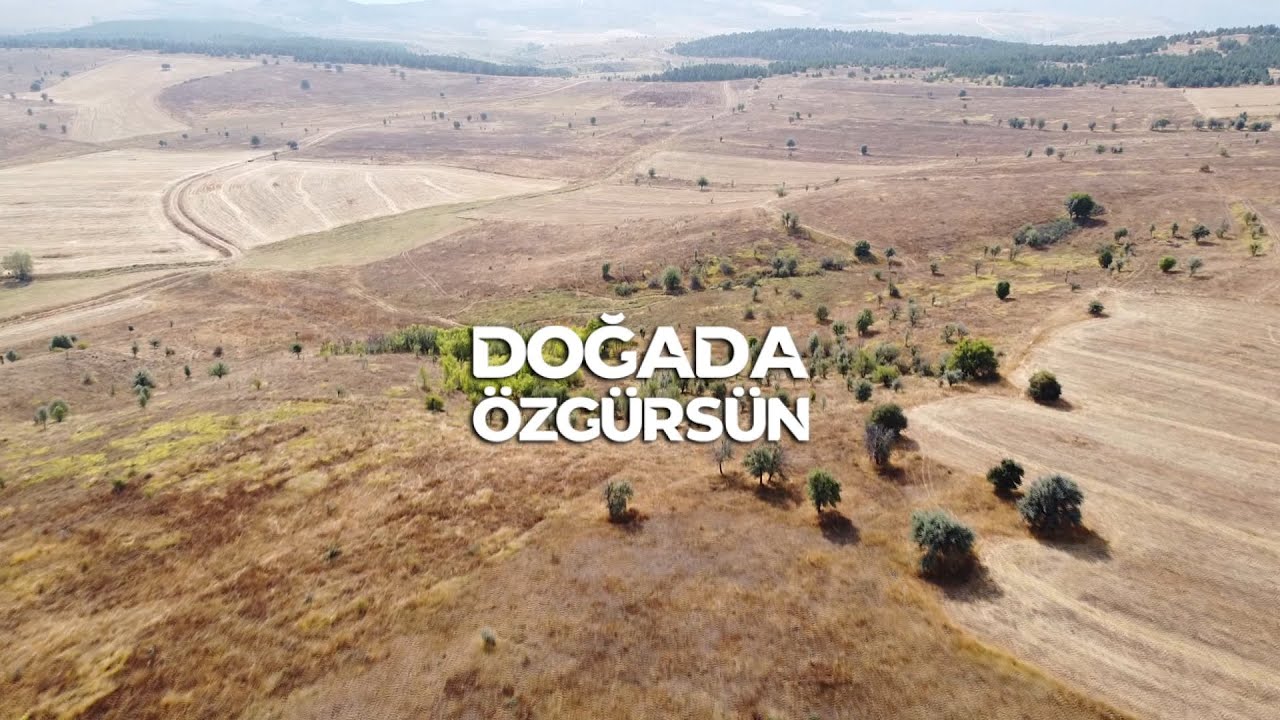 Doğada Özgürsün 6. Bölüm / Marmara Çulluk Avı 2