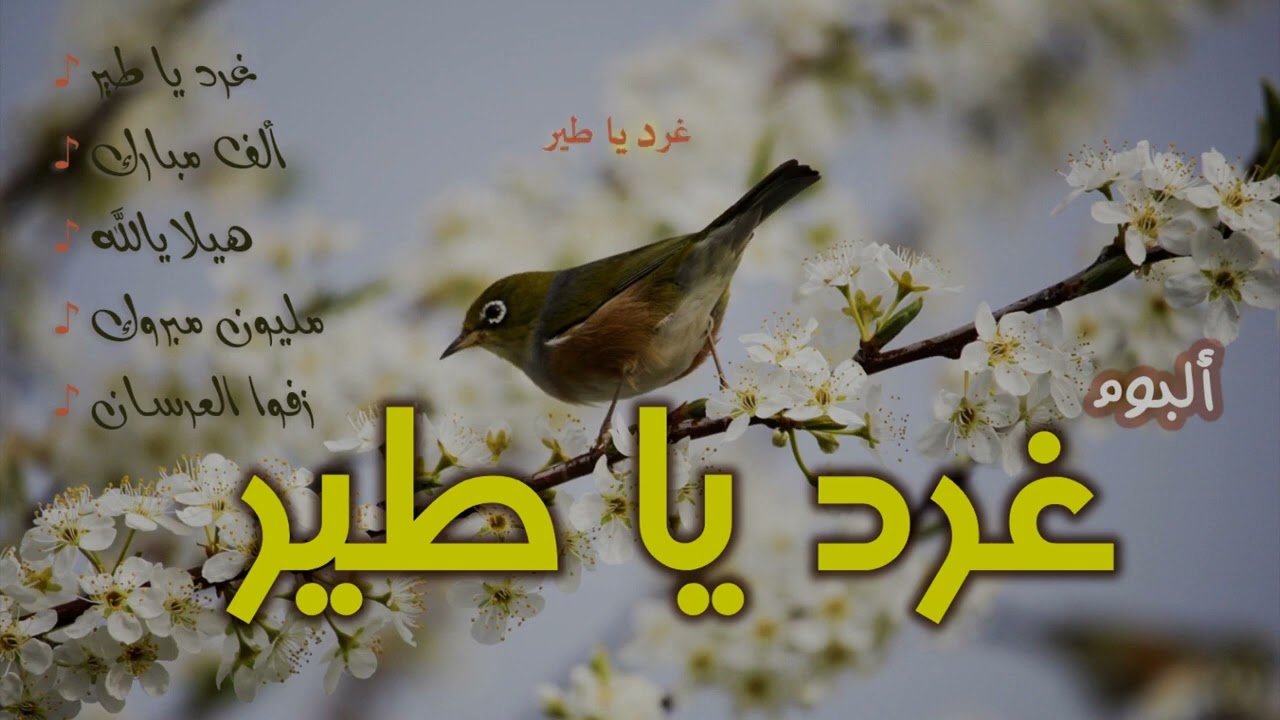 غرد يا طير