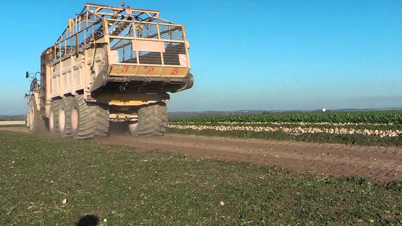 Arrachage betteraves JPS Soyez Mega Star DB75 - 12 rangs - sugar beet harvest 12 row