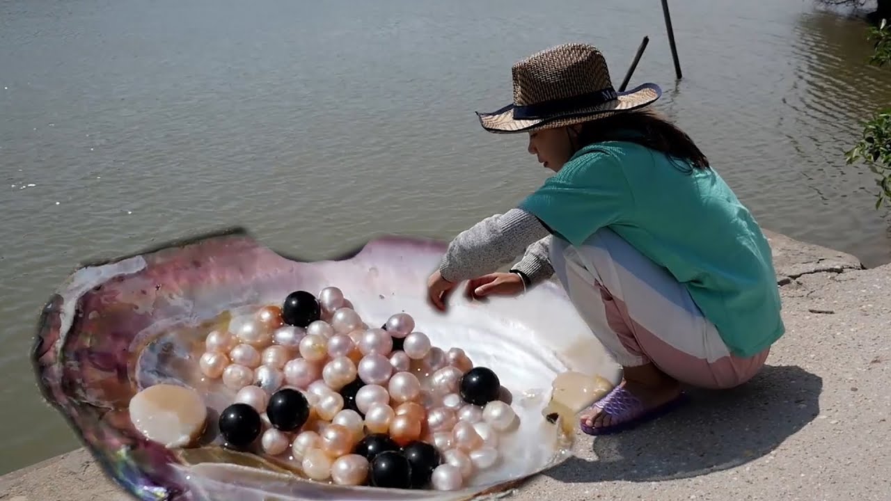 The river mussels by the stream contain beautiful pearls of various colors.