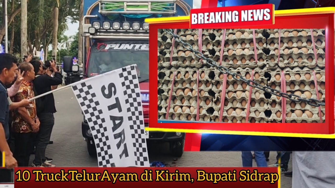 Sidrap Kirim Telur Senilai Rp2 Miliar ke Beberapa Provinsi, Perkuat Program Nasional MBS
