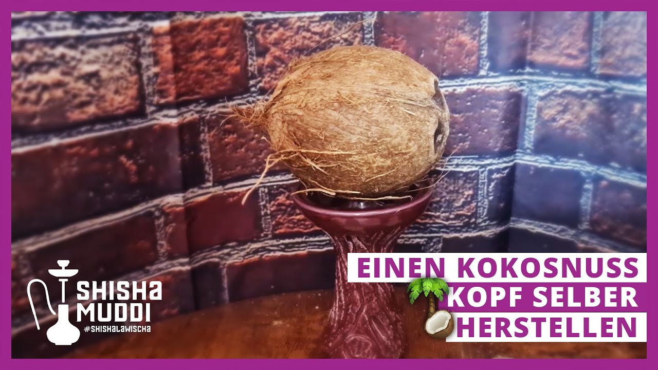Muddi baut einen Kokosnuss Kopf