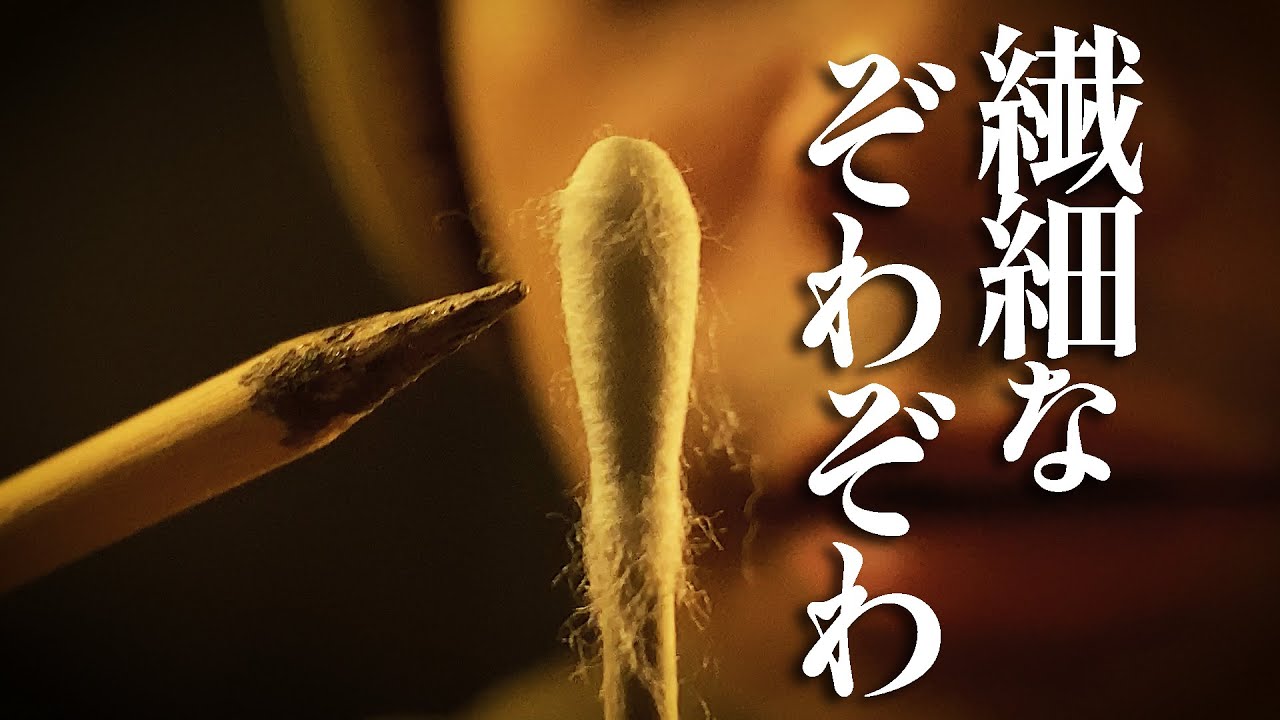 繊細音とゾワゾワ感覚を求める動画 / Delicate Sound trigger roleplay【 ASMR 】