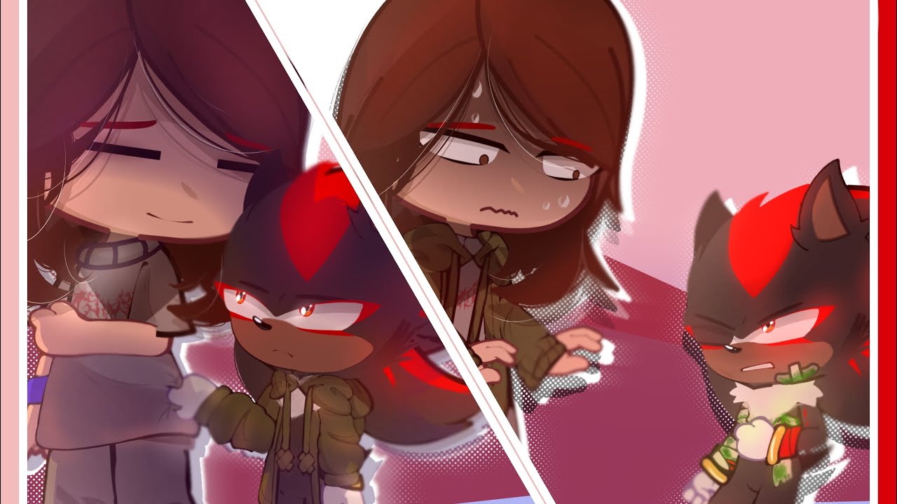 Before and After // Ft: If Shadow the Hedgehog was in my house // meme