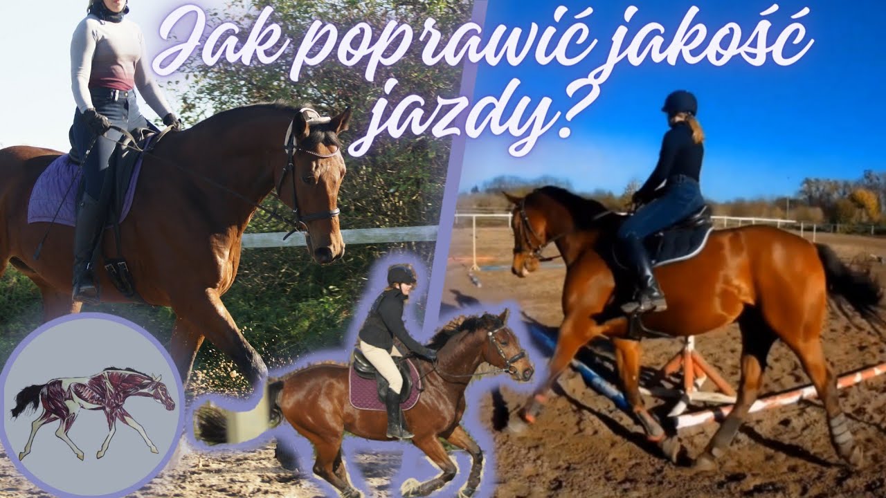 poprawa JAKOŚCI jazdy konnej  - MUSISZ  spróbować tych ĆWICZEŃ!