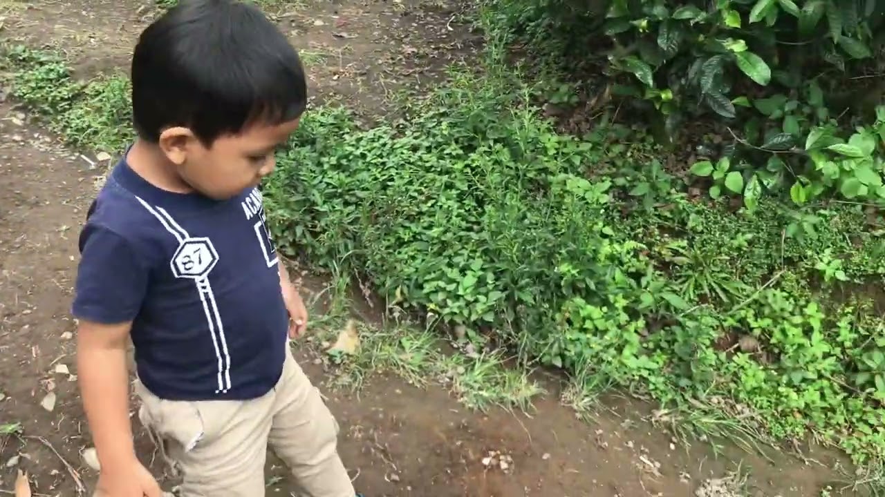 Main kebun teh Pangrango 