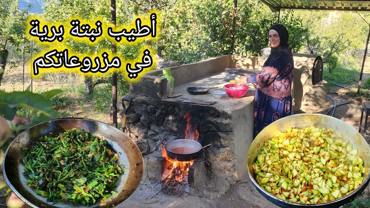 قطاف الكوسا |القطيفة| الأربوزة🔥من الارض فوراً للصحن 😍عالحطب🔥بأجواء ريفية رائعة🇱🇧