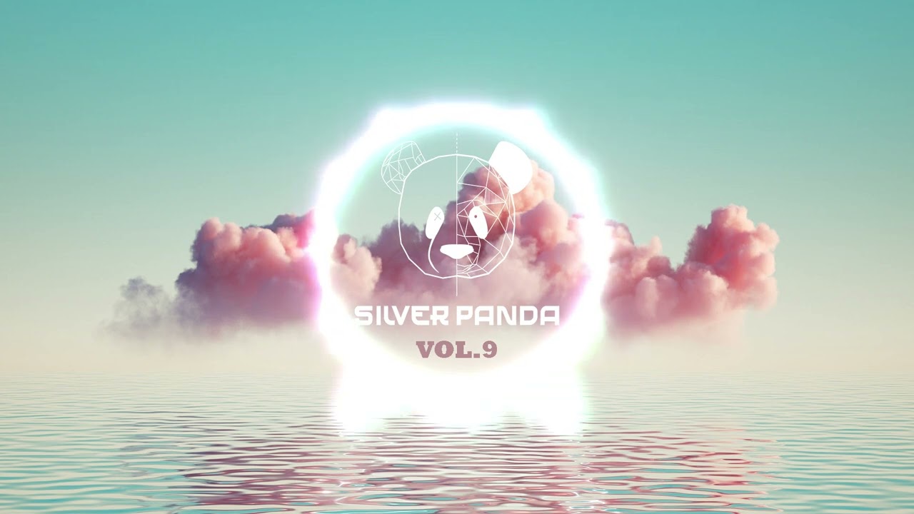 Silver Panda Melodic Sessions - Vol. 9