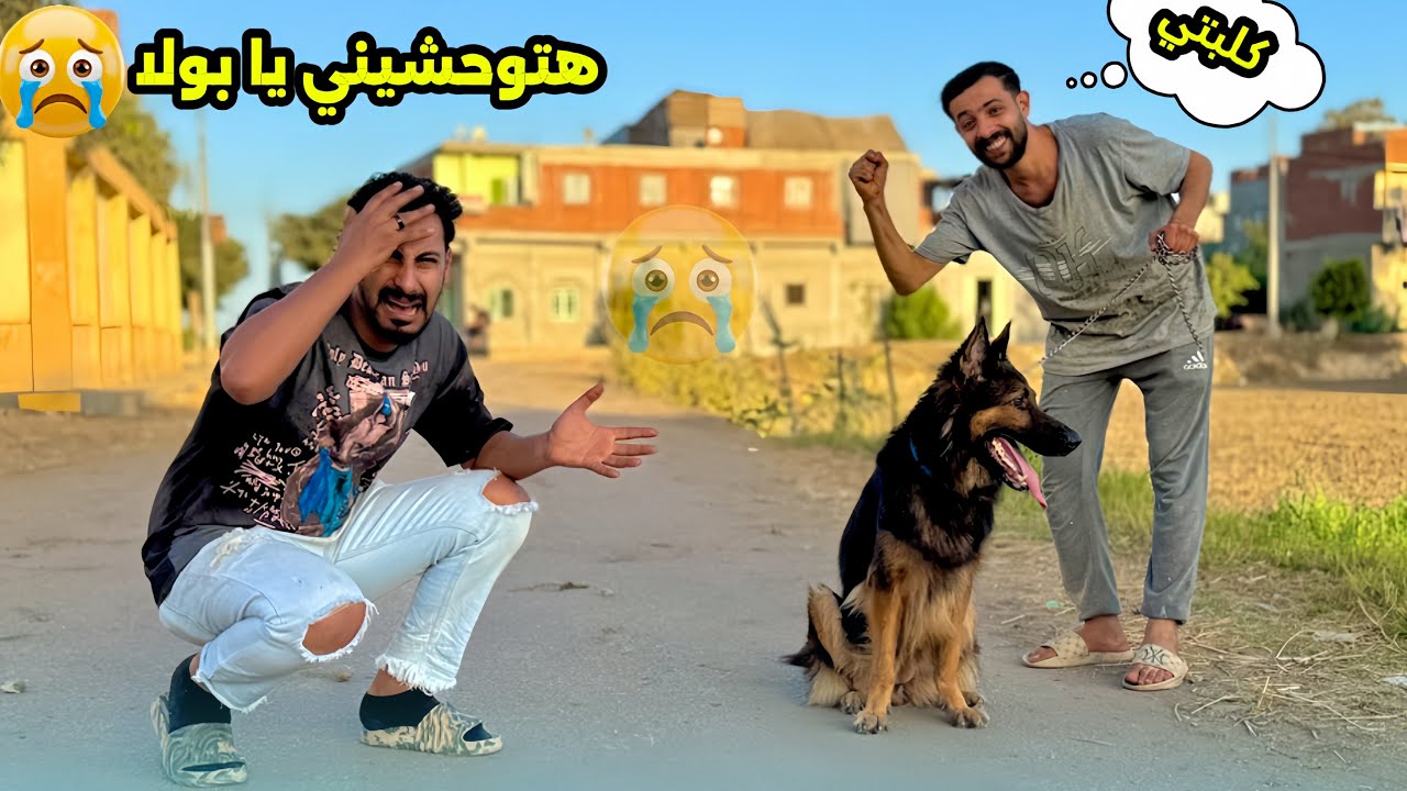 مش هربي كلاب تاني من بعد ما كلابي اتسرقت || (بولا وتمساحه) لتبني 😭