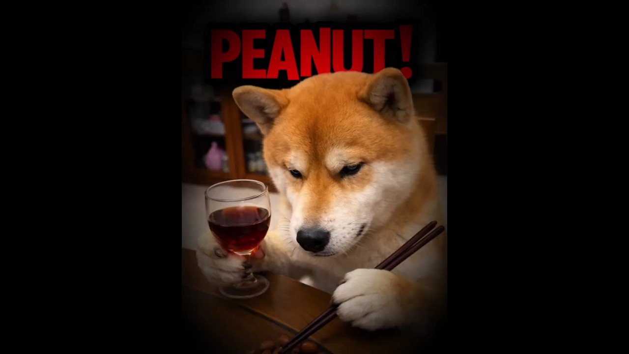 This Dog Can Peel a Peanut Using Only His Tongue 😳