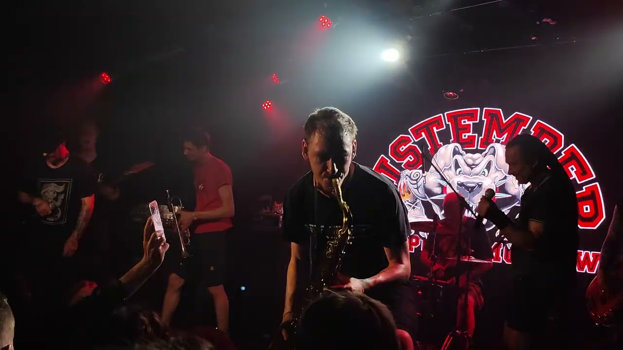 Distemper – Феназепам