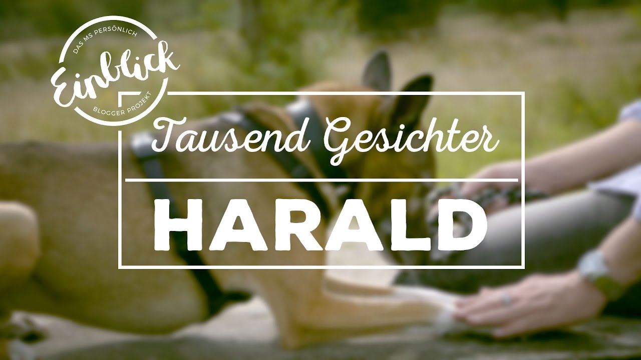 Harald – MS und das Internet |  1000 Gesichter #14 I Einblick - MS-Begleiter