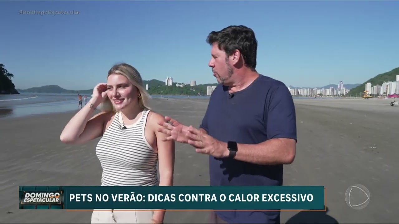 Entenda quais cuidados são necessários para os pets no verão