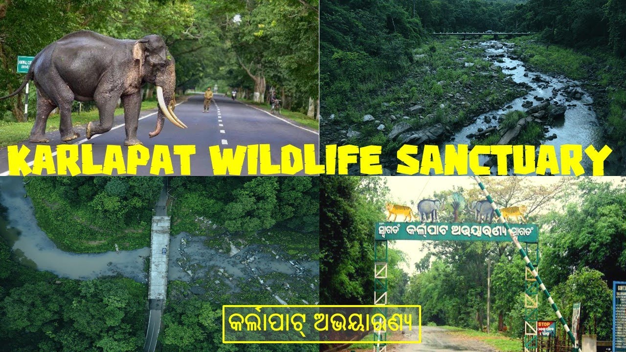 Karlapat Wildlife Sanctuary | Kalahandi | କର୍ଲାପାଟ୍ ଅଭୟାରଣ୍ୟ | Beautiful Cinematic Drone View
