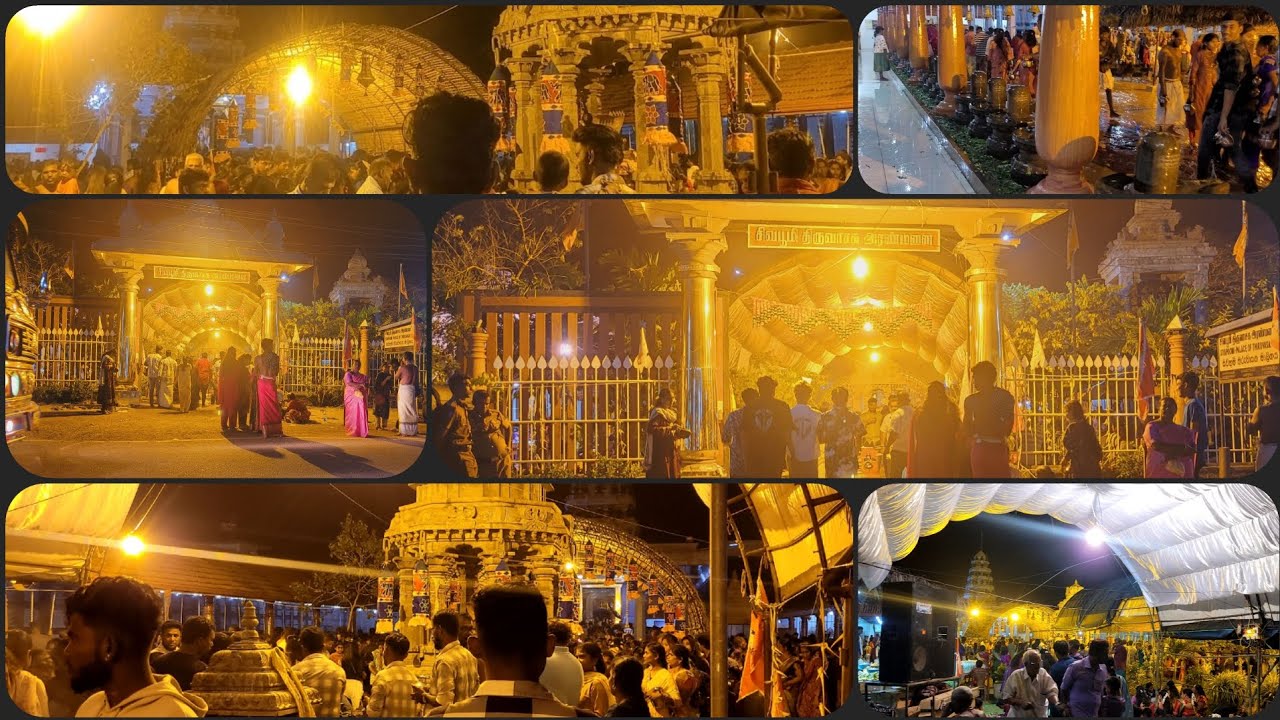 Shivaratri celebration🎆🧨
