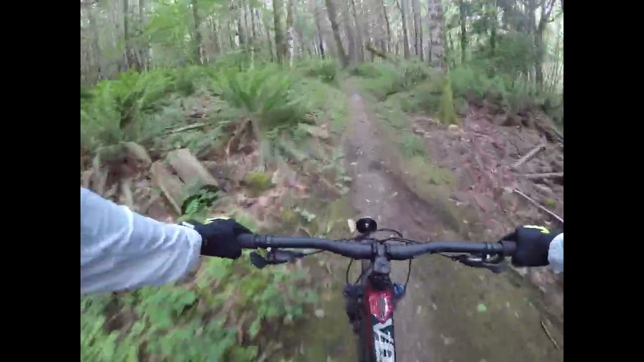 polygon xtrada 5 little mountain bike park