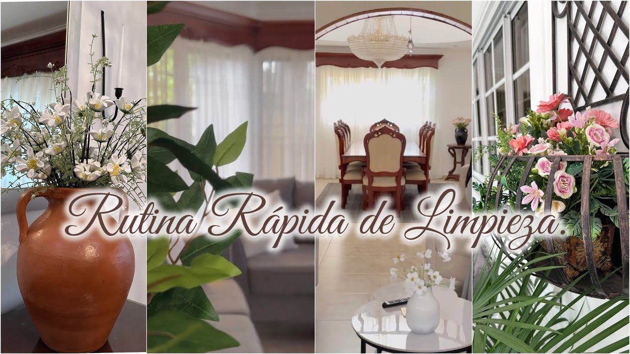 Limpieza y organización de mi Hogar .