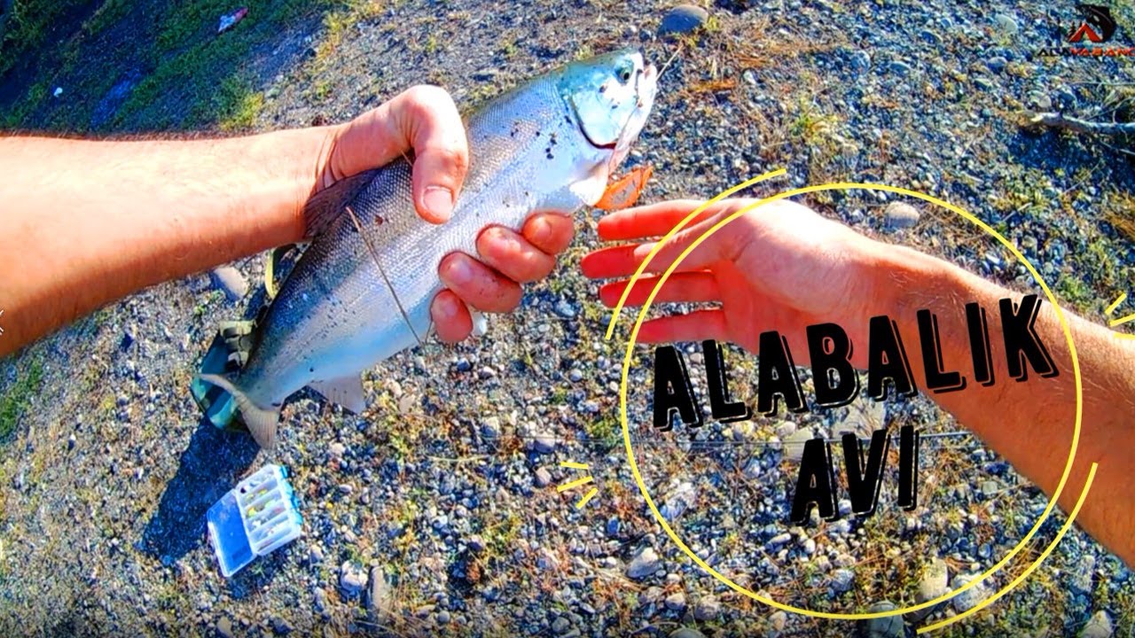 Alabalık Avı / Kahramanmaraş Alabalık Avı / Menzelet Barajı / Trout Fishing / alagezgin