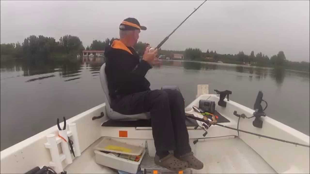 Savage Gear 3D Trout Shad Hengelsport 2000