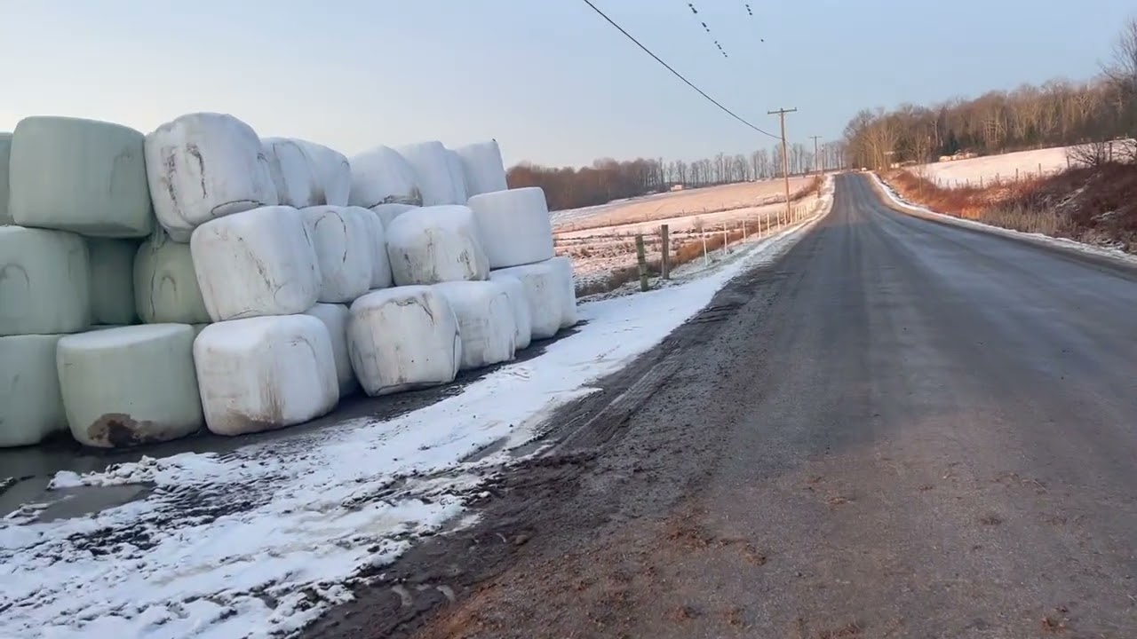 Another SAD Day On The Farm (Upstate NY)