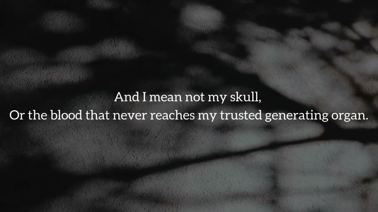 A Life Not Lived