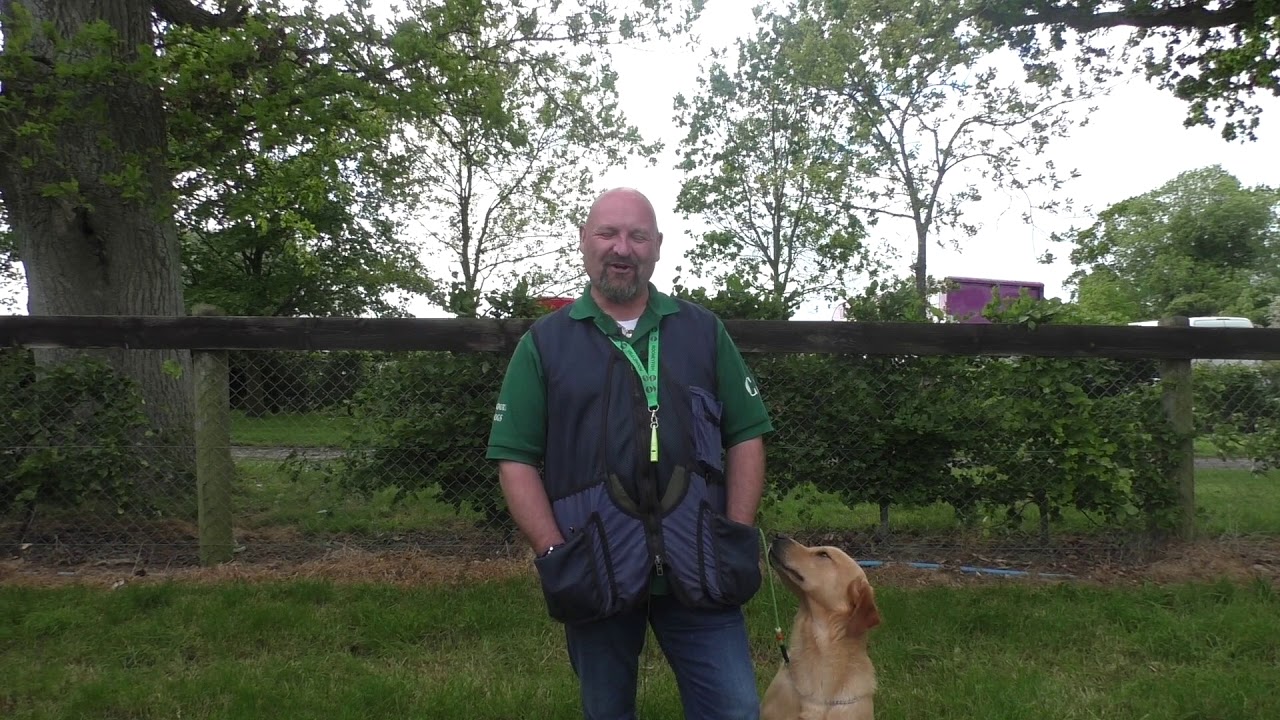 Andrew Rooney - gundog handler from Southern Ireland