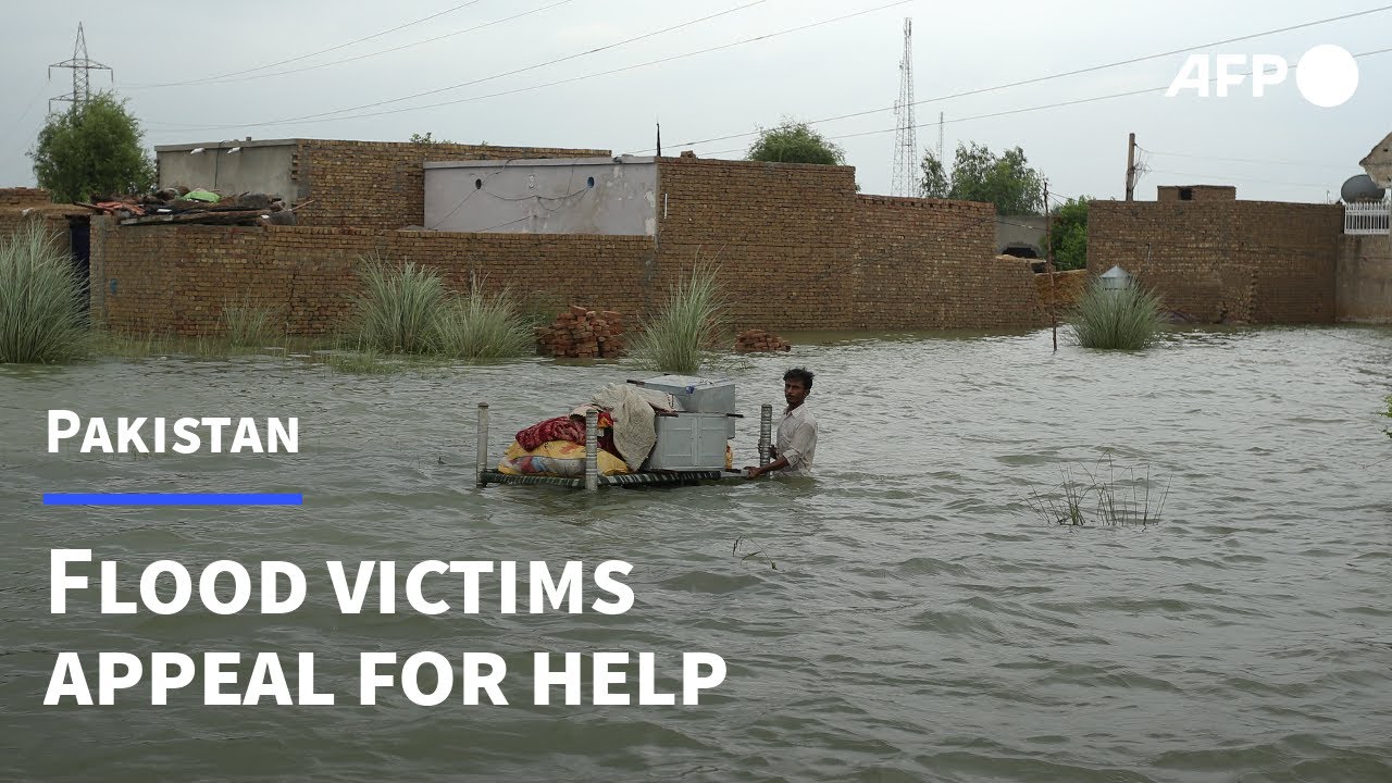 'Our children are starving': Pakistan flood victims appeal for help | AFP