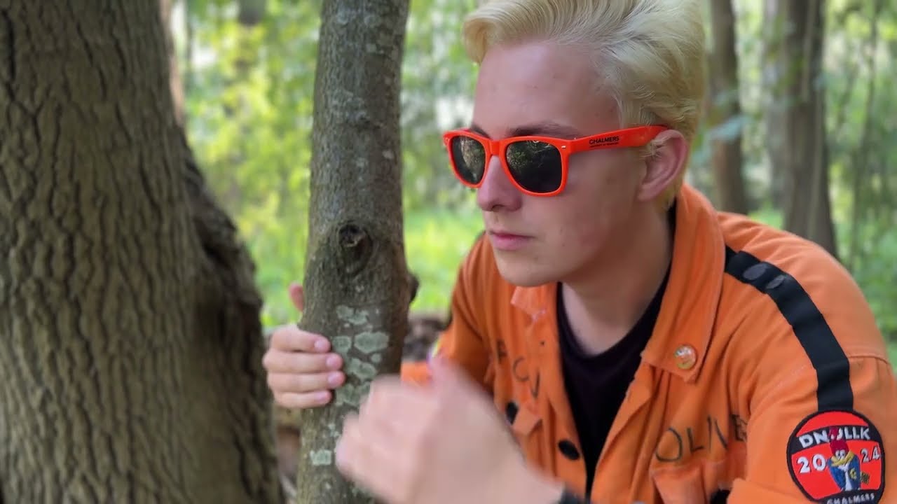 DNollK 2024 Introvideo