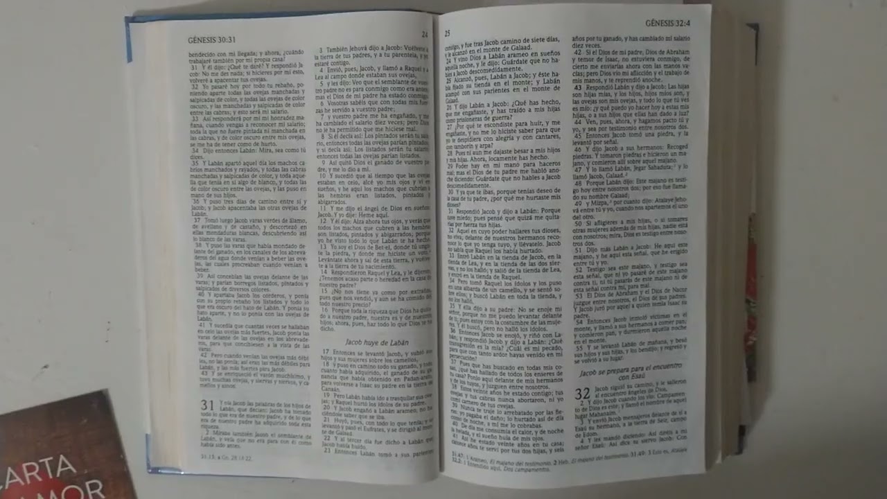 Genesis 31