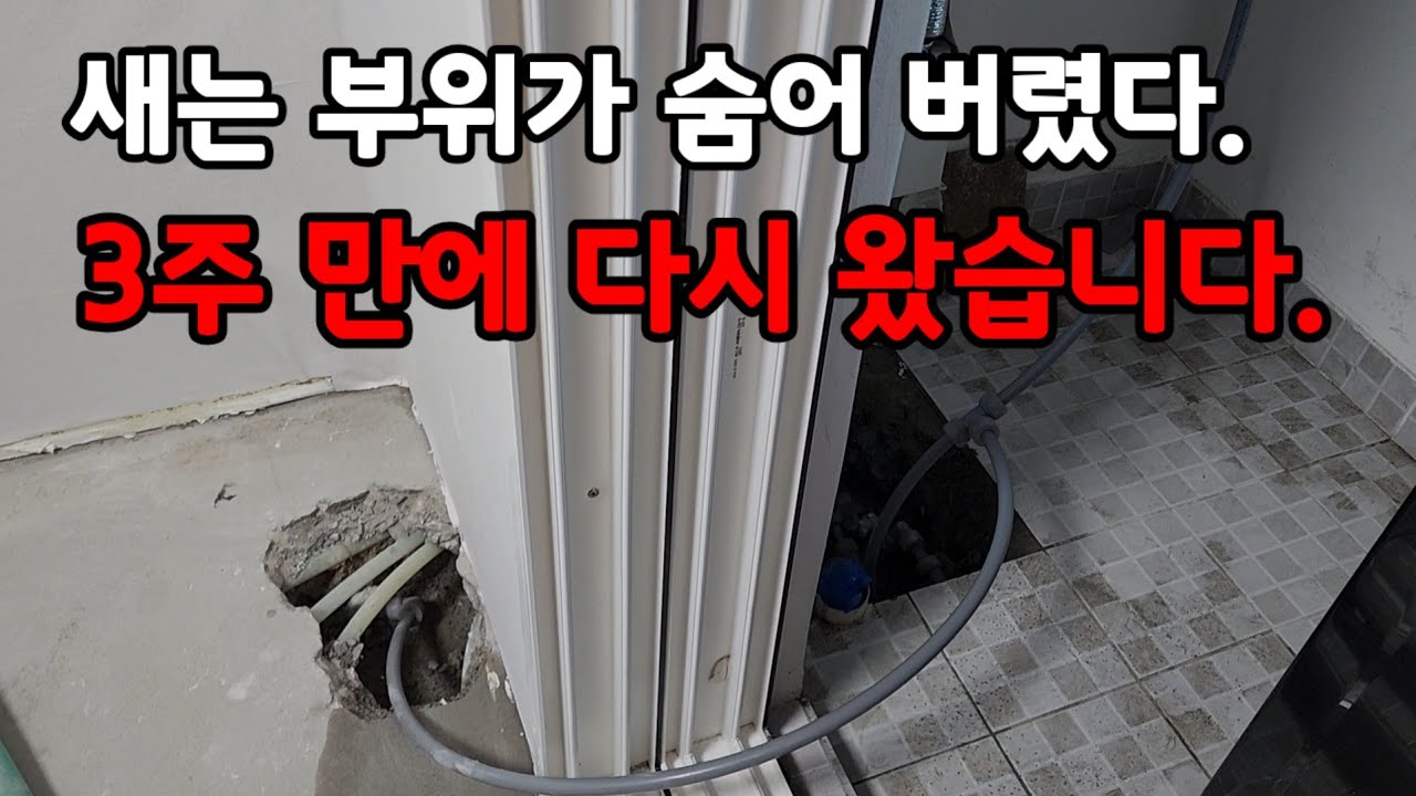임시 조치 후 3주 만에 재방문했습니다.#경기누수#서울누수 #누수탐지 