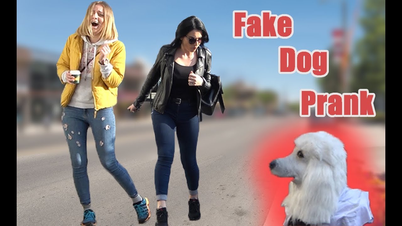 FAKE DOG SCARE PRANK | AWESOME REACTIONS